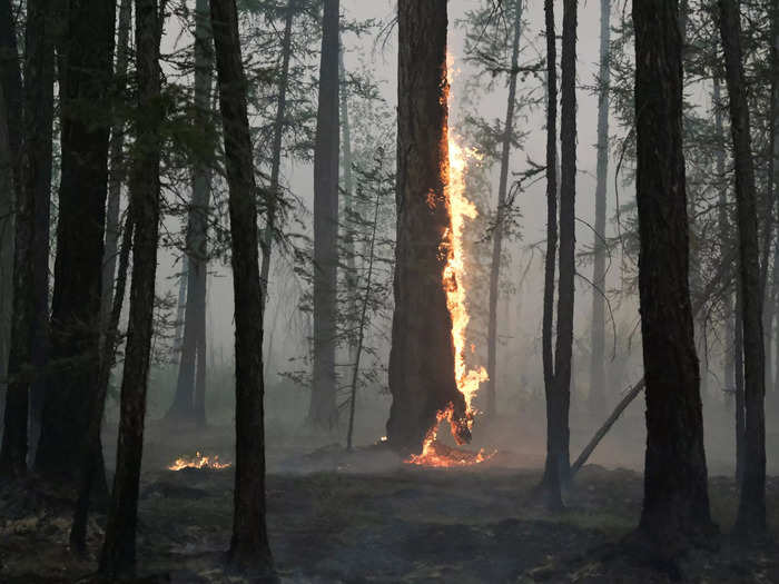 In Russia, rising temperatures were linked to wildfires in Yakutia this summer that were so vast that the smoke reached the North Pole, Reuters reported.