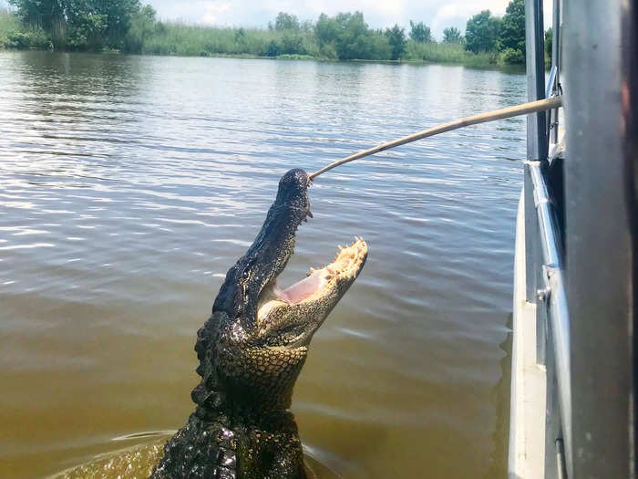 My favorite state to visit in the American South is, without a doubt, Louisiana.