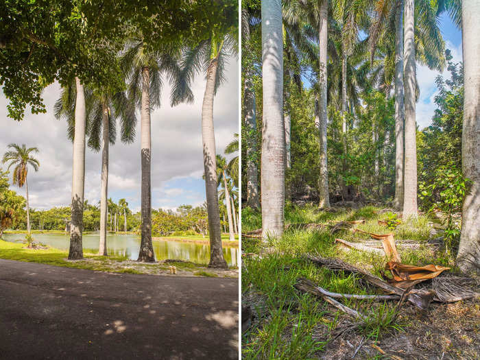 Parts of the park were paved while other parts felt like the wild. Some of the lands were once a coconut plantation, according to The Miami Herald.