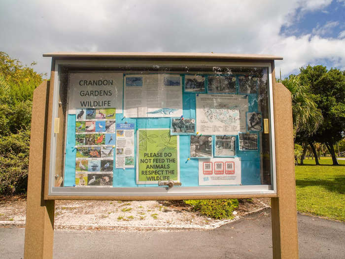 The zoo was open from 1948 until 1980, when animals were moved to a larger area after hurricanes drowned some of them, according to the same source.