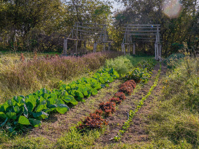 Community members can get involved and learn about farming by joining the gardening club, which is free for the whole neighborhood, Powers said.