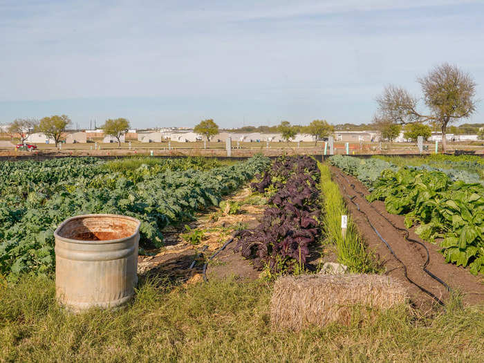 On the farm, there are three sections of row crops that can feed up to 55 families, Powers said.