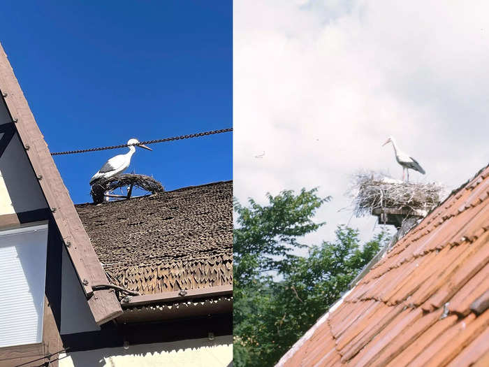 Perched on a number of Solvang