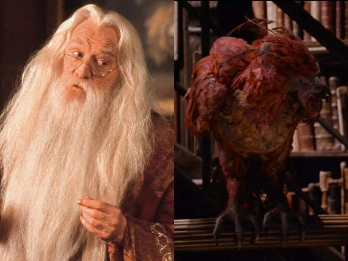 Richard Harris thought the animatronic used for Fawkes the Phoenix was a real bird.