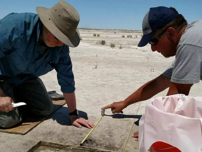 The earliest evidence of tobacco used by hunter-gatherers in the US West 12,000 years ago