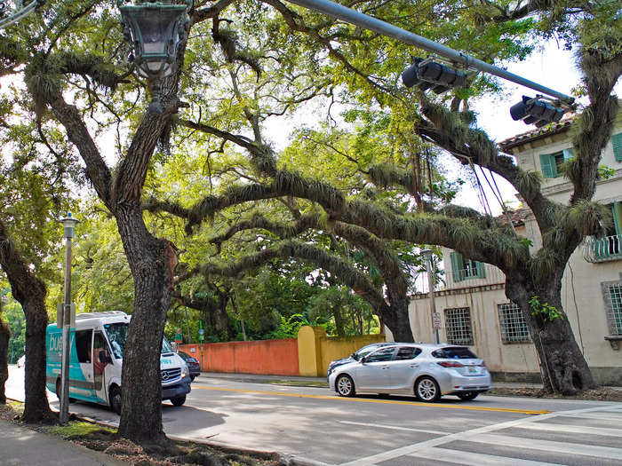 I found the residential areas to be lush with trees and less walkable. I was often the only pedestrian in sight.