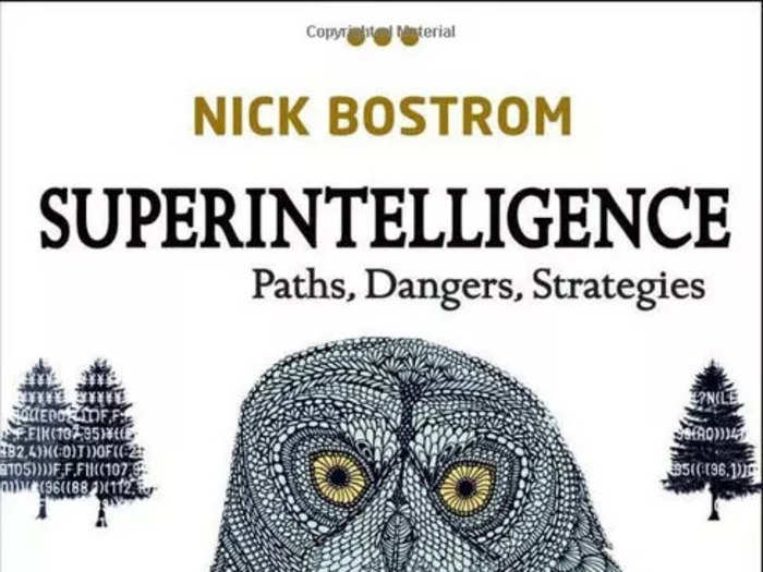 "Superintelligence: Paths, Dangers, Strategies"