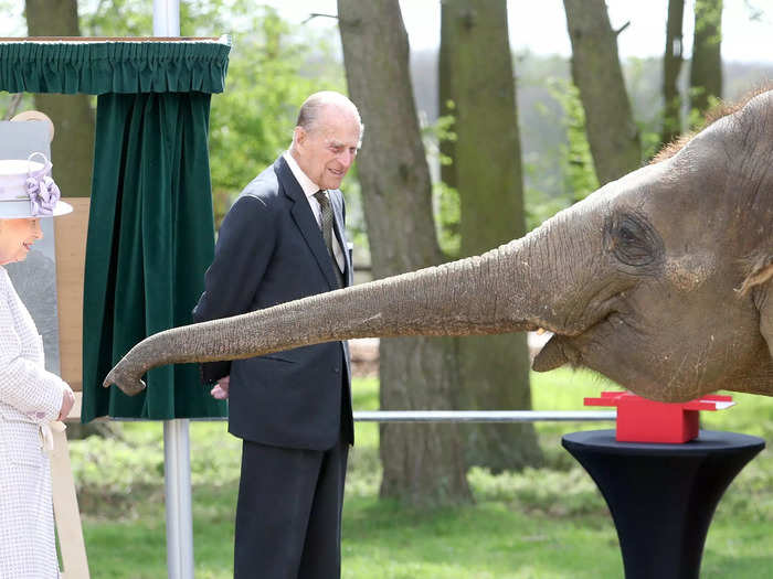 Chris Jackson photographed Queen Elizabeth and Prince Philip making the acquaintance of Donna the elephant while visiting a UK zoo in 2017.