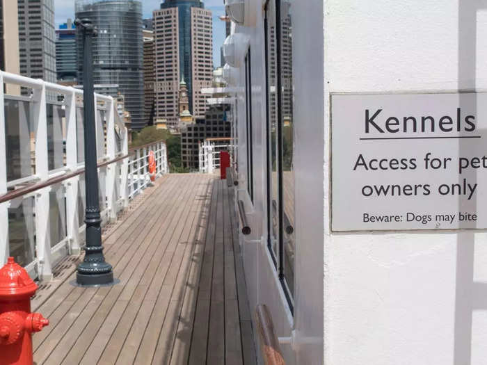 Cunard recently resumed its pet service as travel rates begin to normalize. Prior to the pandemic, the kennels were in high demand and had to be booked far in advance, with passengers ponying up $800-$1000 per sailing. Cats and larger dogs require two kennels, costing double.