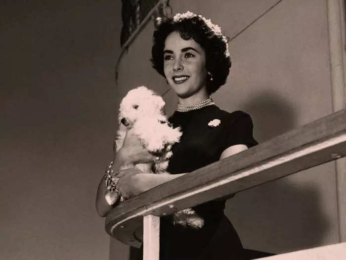 … and even actress Elizabeth Taylor