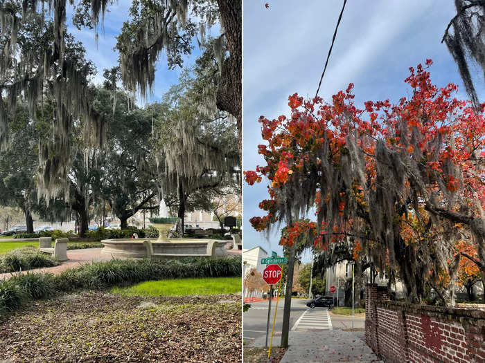 There was Spanish moss everywhere I looked, making for infinite photo opportunities.