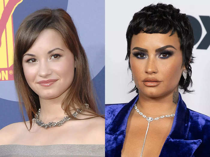 As Demi Lovato dyed their hair darker, their brows became darker and bolder, too.