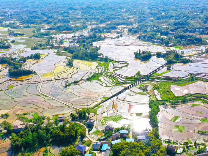 But landscapes change dramatically in Chongqing — outside the city center of districts like Yuzhong, rice terraces abound.