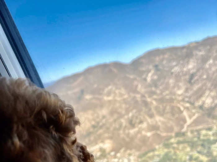 Specifically, Kopczynski is a flight nanny. She accompanies pets — mainly dogs — on flights to new locations. Recognizing she has a niche job, Kopczynski took to TikTok to share her life on her account, @flightnannyjen. Her videos have since gained a collective million likes.