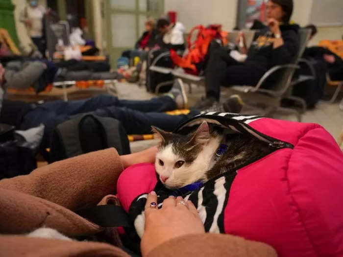 Inside the station, a woman held her cat in her lap as she waited for another train.