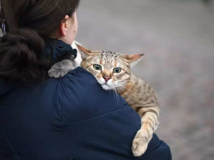 A woman held her cat as she walked near the Kyiv-Pasazhyrskyi railway station in Kyiv.