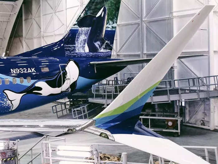 "This over-whale-ming aircraft honors the beautiful shores we call home, the Southern Resident orca pods that live around our hubs, and our commitment to keeping rivers and oceans healthy for the long term," the airline said on Twitter.