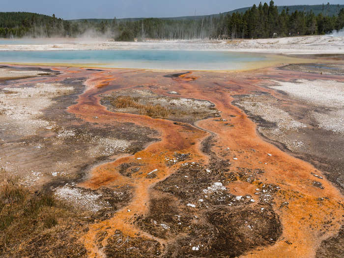 Black Sand Basin is home to a collection of small geysers and hot springs, including Rainbow Pool.