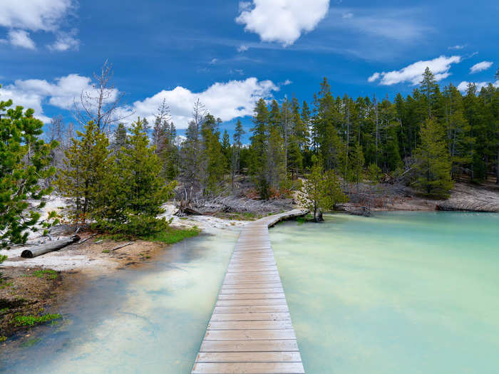 The ice-blue waters of Nuphar Lake are found in Norris Geyser Basin, the hottest geyser basin in the park.