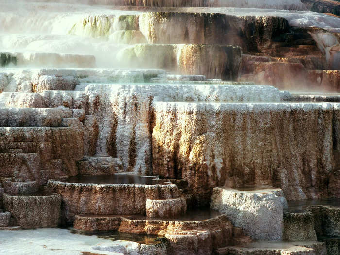 A striking feature of the Mammoth Hot Springs is the Minerva Terrace.