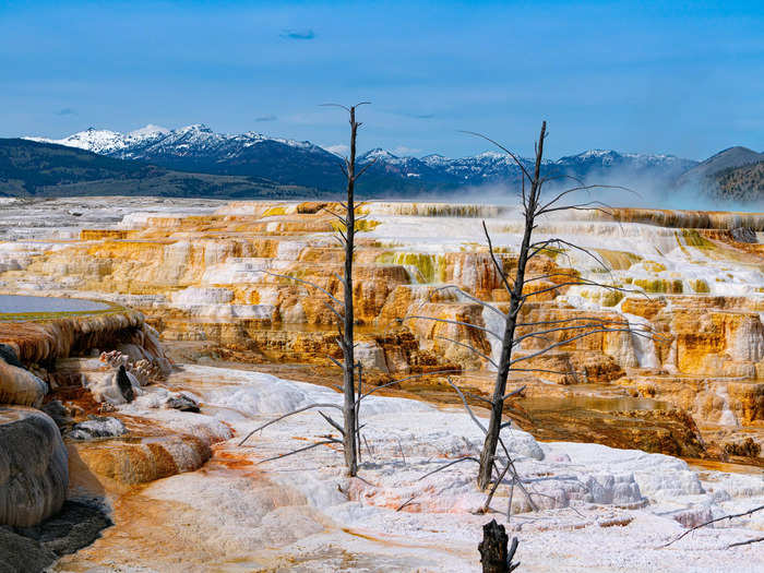 Awe-inspiring natural features can be found across the park, which spans 3,472 square miles, or more than 2.2 million acres.