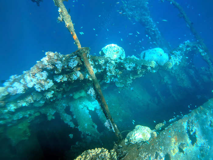 The US sank more than 50 Japanese ships in Chuuk Lagoon, Micronesia, during World War II.