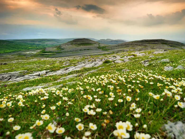 The Burren is famous for its diverse flora and limestone rocks.