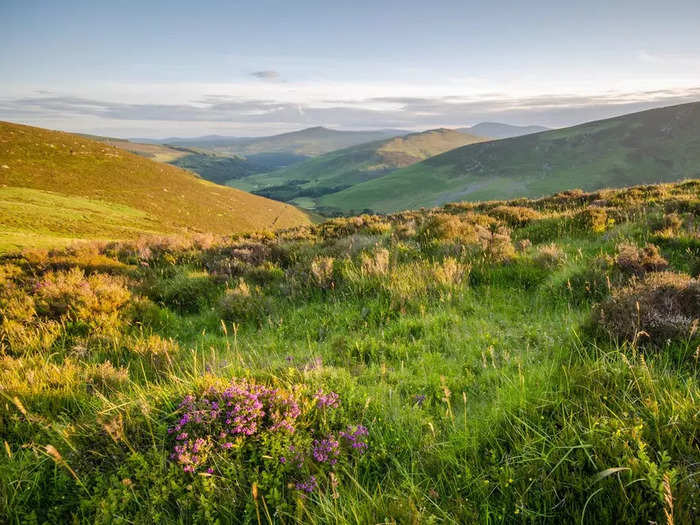 The Wicklow Mountains are full of vibrant greenery.