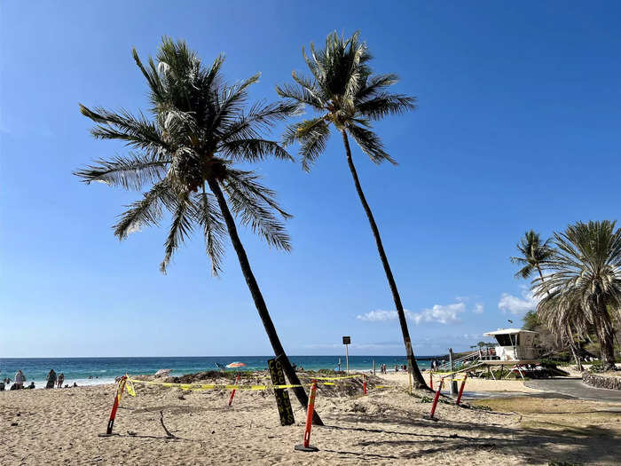 When I walked down to the beach, I noticed signs warning visitors to be wary of several things, from high surf and slippery surfaces to bees and falling coconuts.