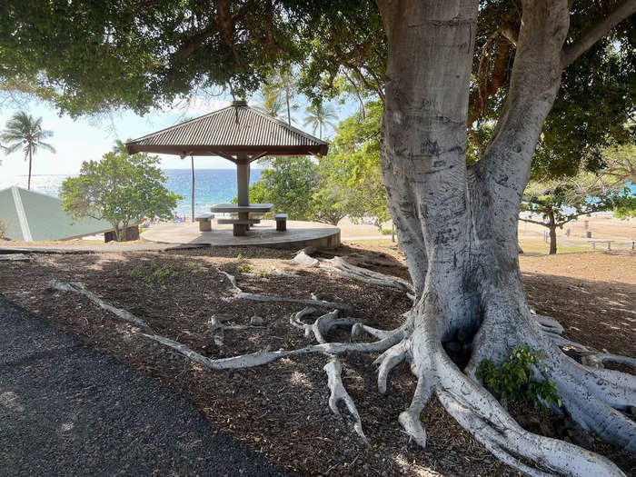 The walkway branched off toward various picnic tables that looked out on the beach below, so I picked one to enjoy my lunch at.