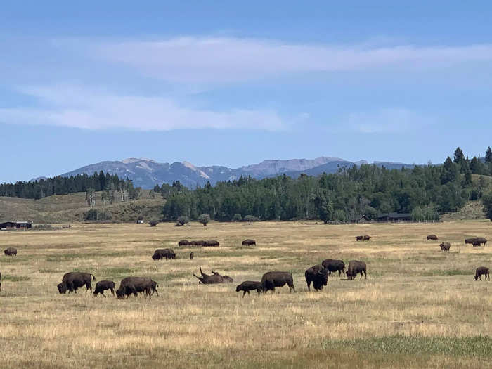 South Dakota