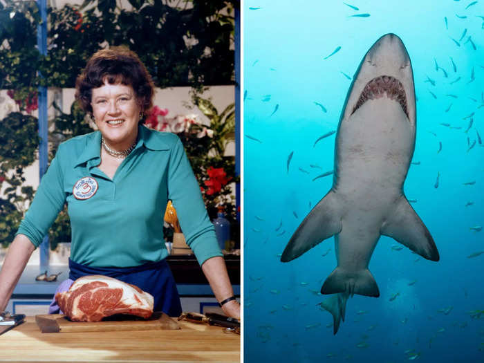 Shark repellent was invented by none other than famous American chef Julia Child.