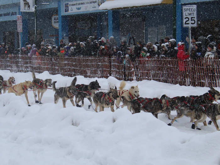 The ceremonial start of the Iditarod felt like a party.