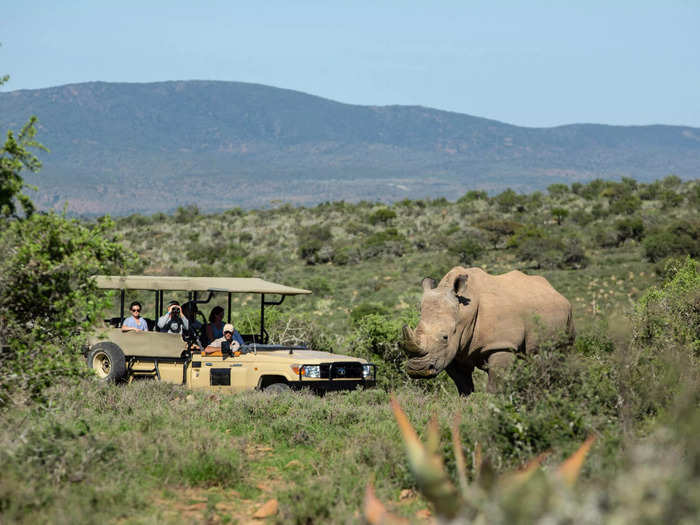 The compound is also an animal sanctuary. "The reserve is fully protected with Game Fencing, and there is a team of highly experienced conservationists who manage the reserve," Cooper told Insider.