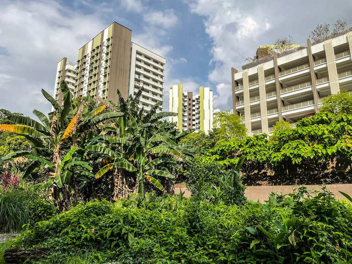 While the kampong feels like a different world from the rest of Singapore, towering blocks of public apartments nearby are a constant reminder of where it really is: in the middle of a modern city-state.