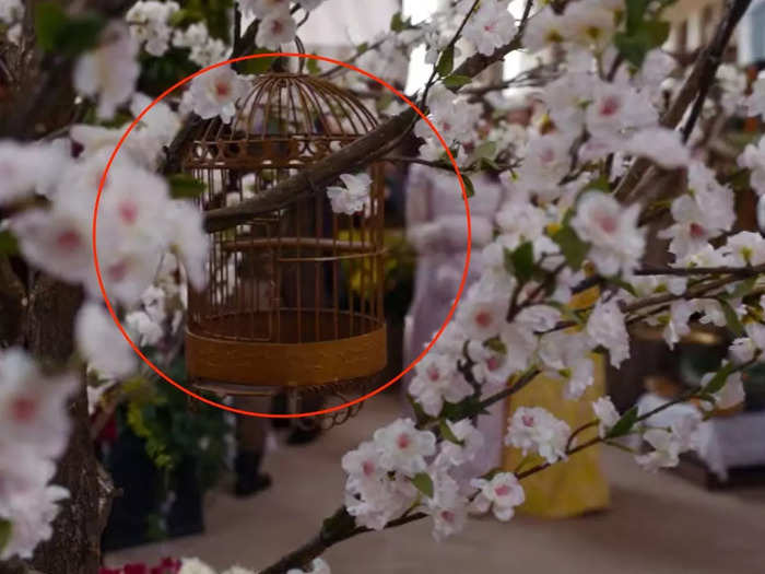 The birdcages may symbolize women