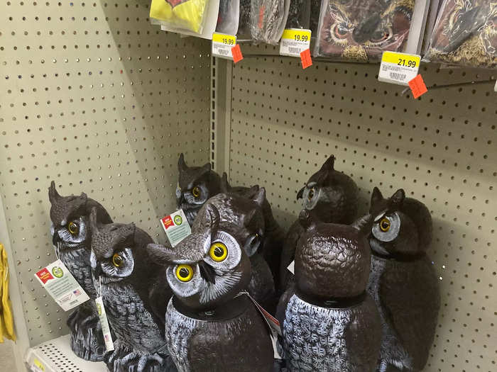 There are also plenty of items that serve practical purposes for individuals and families living in more rural areas, like these owl decoys meant to deter birds.