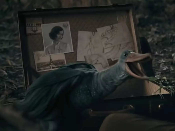 A photo of Tina Goldstein can be seen in Newt