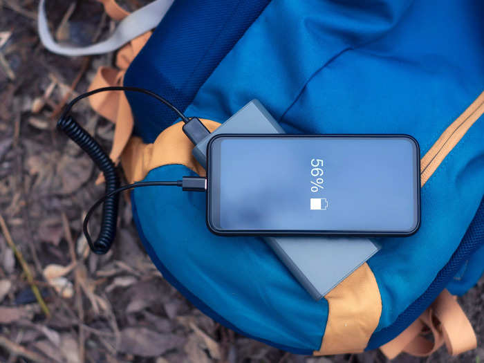 Finkelstein brings a portable phone charger for navigating the park and playing games while her family waits in lines.