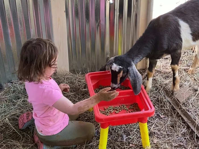 Outside, they also have a pasture and barn for their goats and chickens.