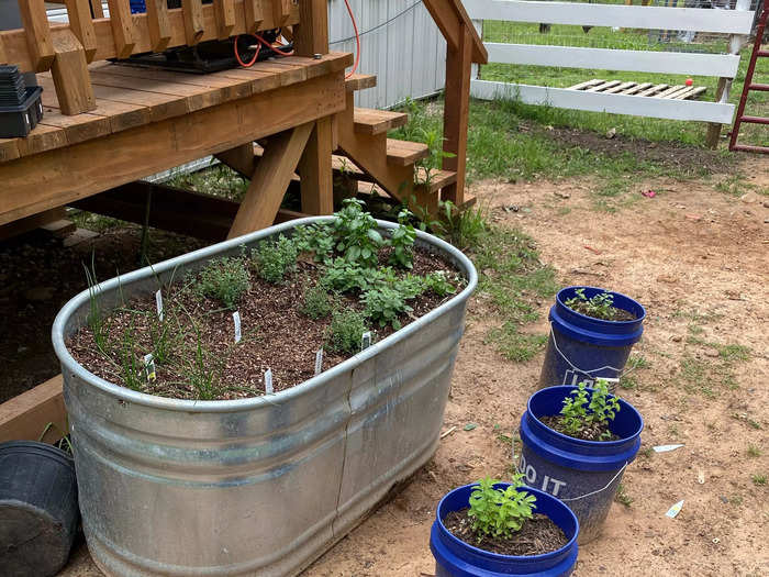 This year, he built raised beds for the garden.