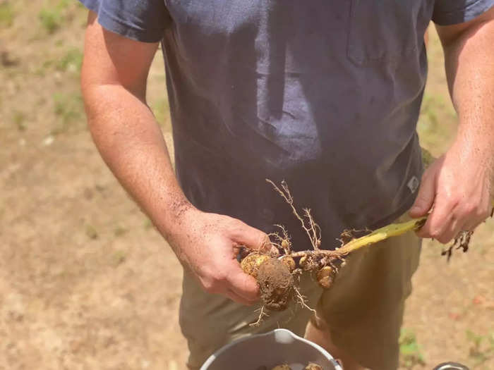 Matt works in the garden about two to four hours per day, depending on the season.