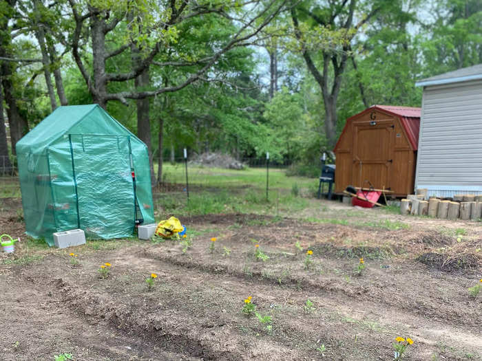 Cidni and her husband Matt moved to this half-acre "homestead" in East Texas in September 2020.