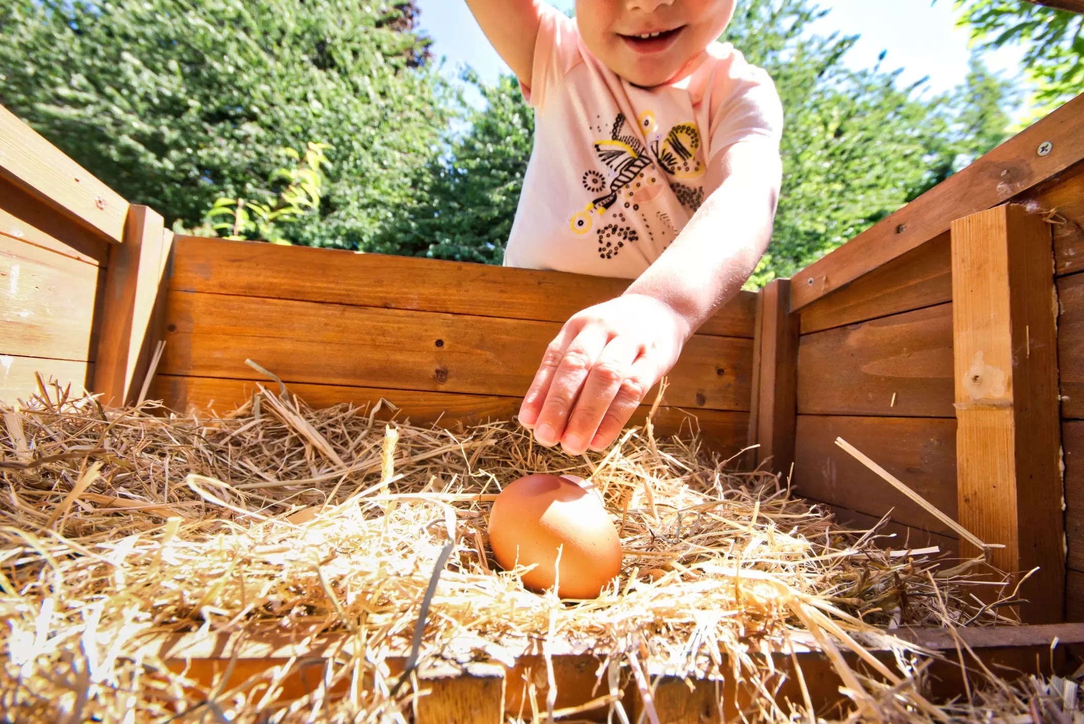 Child finds an egg in a farmhouse garden.