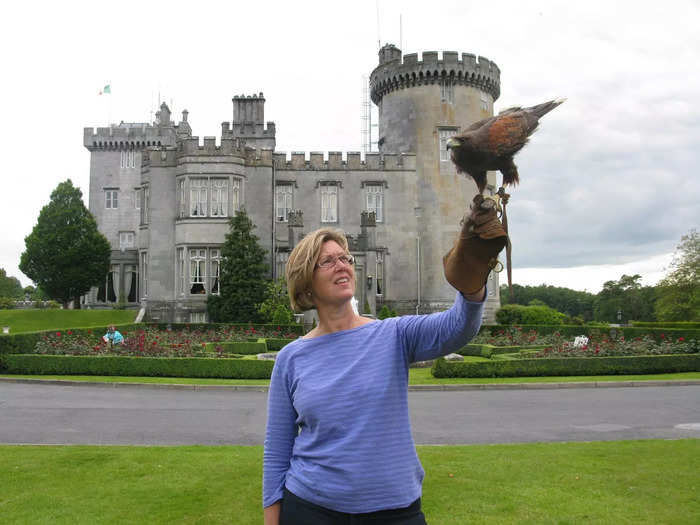 Learn to fly falcons like Irish nobility.