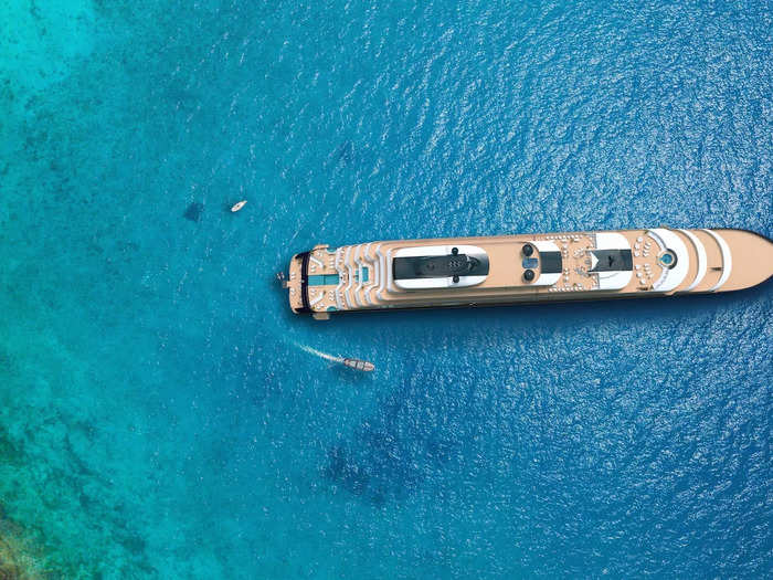 The Ritz-Carlton Hotel Company is bringing its exclusivity to the high seas with its new "yacht collection" cruise arm.