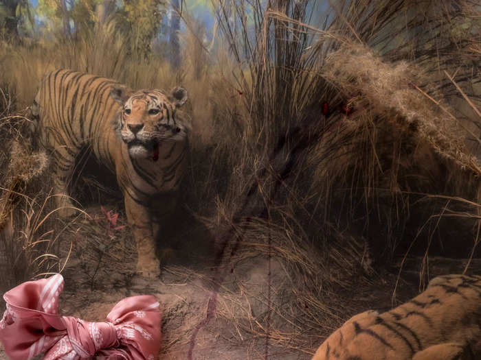 The background has tigers near a water hole. Foreground has a zebra fabric and on top a sliced pomegranate some flower petals and a pink bow in top of a vase.