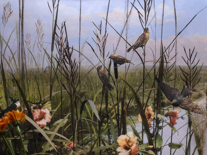 The background has a river with tall grass aorund it and on the grass small birds. The foreground has a teal pattern fabric with feathers and a human body sculpture on top of it.