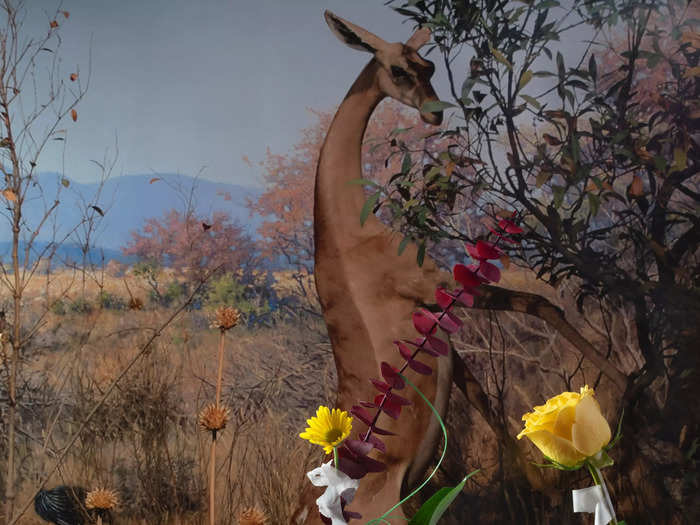 The background has a gazelle reaching to eat from a tree top. The foreground has vases with flowers sporadically spread through the scene on top of white fabric.