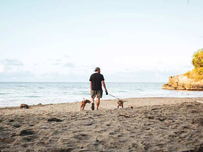 After a few local gigs, the couple was ready for international travel, so they quit their day jobs and landed their first pet-sitting job in Grenada.